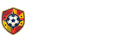 比利时队直播